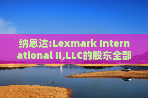 纳思达:Lexmark International II,LLC的股东全部权益价值估值分析报告书  第1张