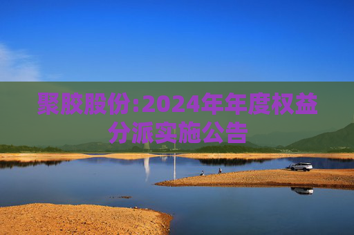 聚胶股份:2024年年度权益分派实施公告