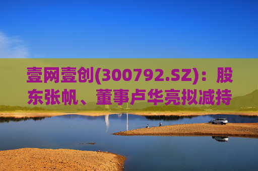 壹网壹创(300792.SZ)：股东张帆、董事卢华亮拟减持合计不超3.02%股份  第1张