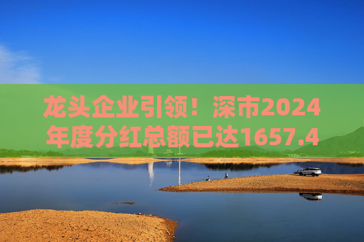 龙头企业引领！深市2024年度分红总额已达1657.47亿元