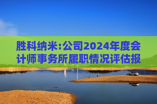 胜科纳米:公司2024年度会计师事务所履职情况评估报告  第1张