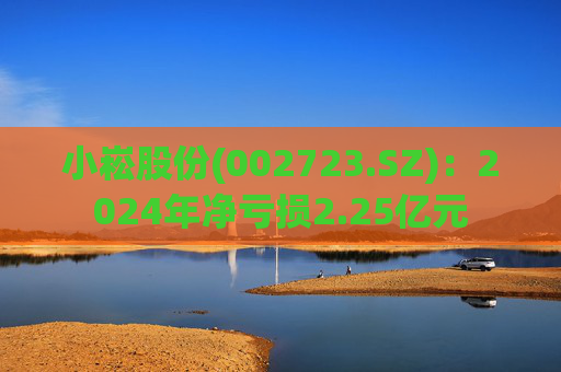 小崧股份(002723.SZ)：2024年净亏损2.25亿元