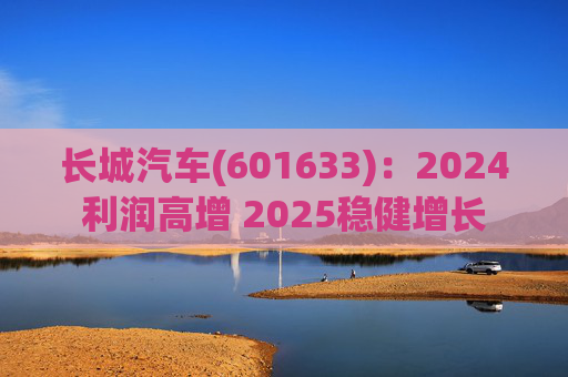 长城汽车(601633)：2024利润高增 2025稳健增长