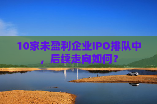 10家未盈利企业IPO排队中,后续走向如何? 第1张 10家未盈利企业IPO排队中,后续走向如何? 第1张