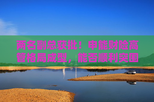 两名副总获批！申能财险高管格局成型，能否顺利突围？  第1张