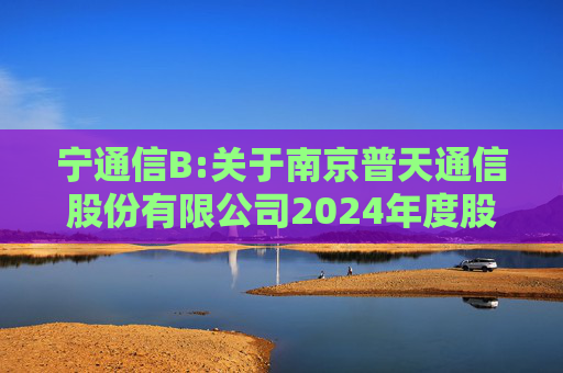宁通信B:关于南京普天通信股份有限公司2024年度股东大会的法律意见书  第1张