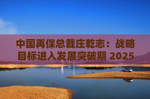 中国再保总裁庄乾志：战略目标进入发展突破期 2025年非常关键  第1张