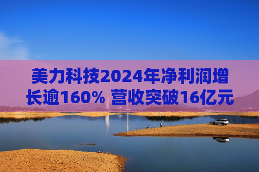 美力科技2024年净利润增长逾160% 营收突破16亿元  第1张
