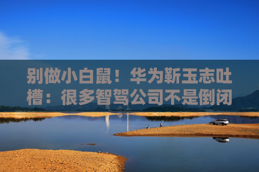 别做小白鼠!华为靳玉志吐槽:很多智驾公司不是倒闭就是做机器人去了