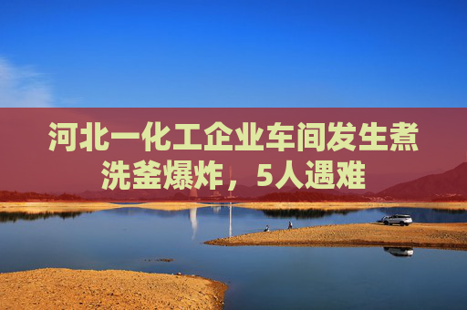 河北一化工企业车间发生煮洗釜爆炸，5人遇难