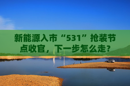 新能源入市“531”抢装节点收官,下一步怎么走? 第1张 新能源入市“531”抢装节点收官,下一步怎么走? 第1张