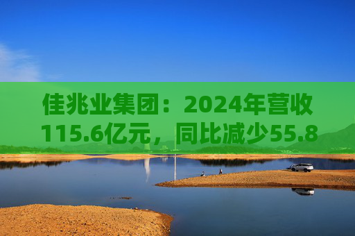 佳兆业集团：2024年营收115.6亿元，同比减少55.8%