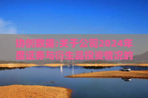 协创数据:关于公司2024年度证券与衍生品投资情况的专项报告