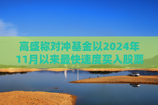 高盛称对冲基金以2024年11月以来最快速度买入股票
