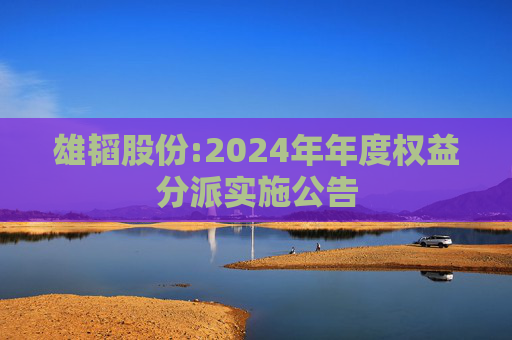 雄韬股份:2024年年度权益分派实施公告