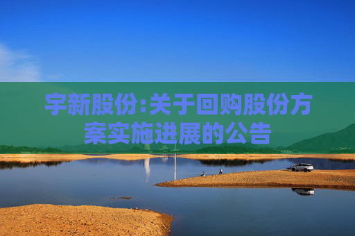 宇新股份:关于回购股份方案实施进展的公告