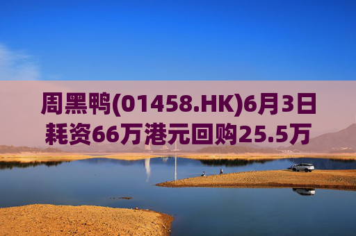 周黑鸭(01458.HK)6月3日耗资66万港元回购25.5万股