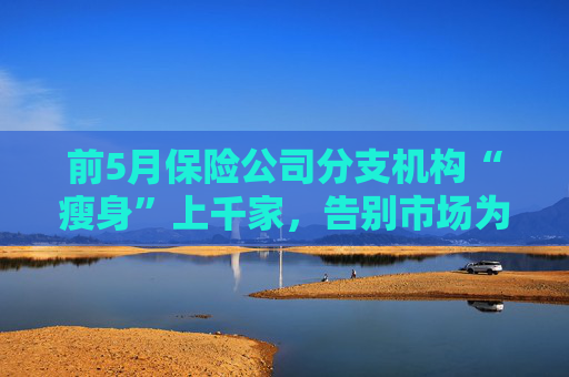 前5月保险公司分支机构“瘦身”上千家，告别市场为哪般  第1张