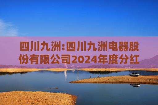 四川九洲:四川九洲电器股份有限公司2024年度分红派息实施公告