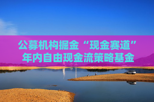 公募机构掘金“现金赛道” 年内自由现金流策略基金募资近150亿元