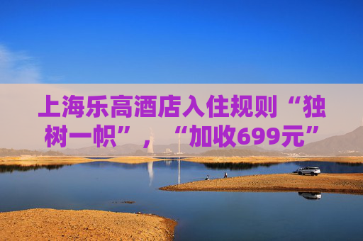 上海乐高酒店入住规则“独树一帜”，“加收699元”引质疑