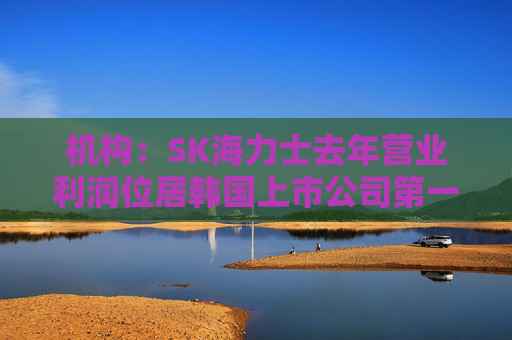 机构：SK海力士去年营业利润位居韩国上市公司第一，首次超过三星电子