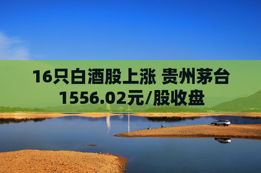 16只白酒股上涨 贵州茅台1556.02元/股收盘
