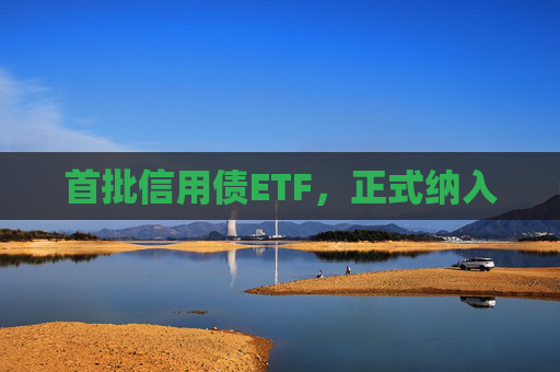 首批信用债ETF，正式纳入  第1张