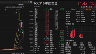 中国黄金今起调整回购规则：非交易日暂停办理