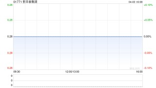 新丰泰集团向附属公司提供担保