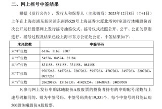 比摩尔线程还抢手，沐曦股份中签号揭晓