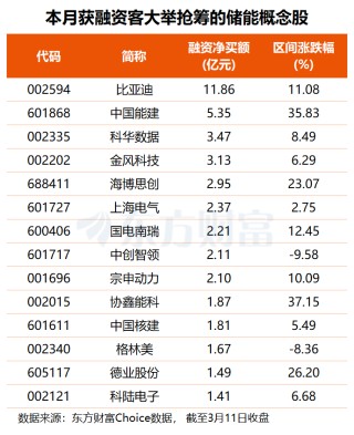 AI“电荒”下科技巨头有新动作 多只概念股获杠杆资金加仓(名单)