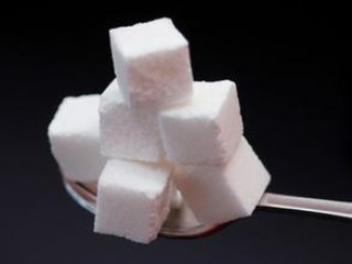 如何把握白糖期权的投资机遇？这种机遇存在哪些不确定性？