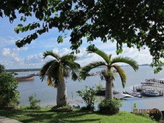 如何了解新加坡交易所橡胶期权？该期权有什么特点？