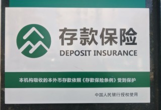 深度｜存款保险制度十周年：兼顾市场化与政策性 既要“治已病”又需“治未病”