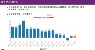 李蓓：头部房企的盈利模式已实现重构，看似寒冬的行业里，龙头企业已经偷偷开出了盈利的花朵