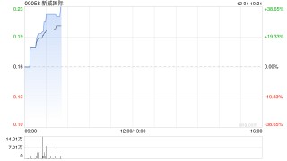 新威国际因转换可换股债券发行3亿股