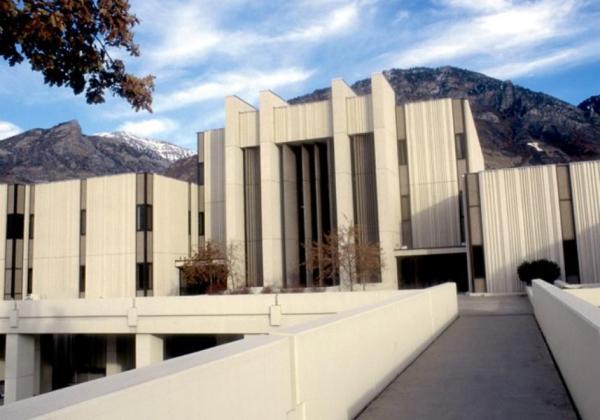 如何建造适合孔雀生活的环境？建造这种环境需要哪些材料和设施？  第1张