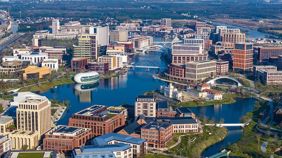 托马斯·弗里德曼：我看到了未来，却不在美国  第1张