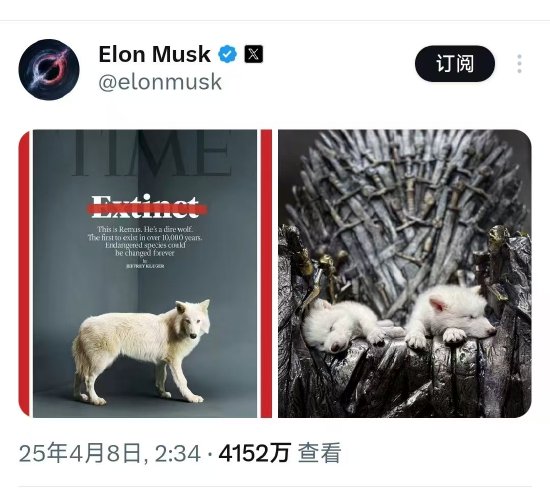 复活1万多年前“冰原狼”!马斯克发帖表关注 第1张 复活1万多年前“冰原狼”!马斯克发帖表关注 第1张
