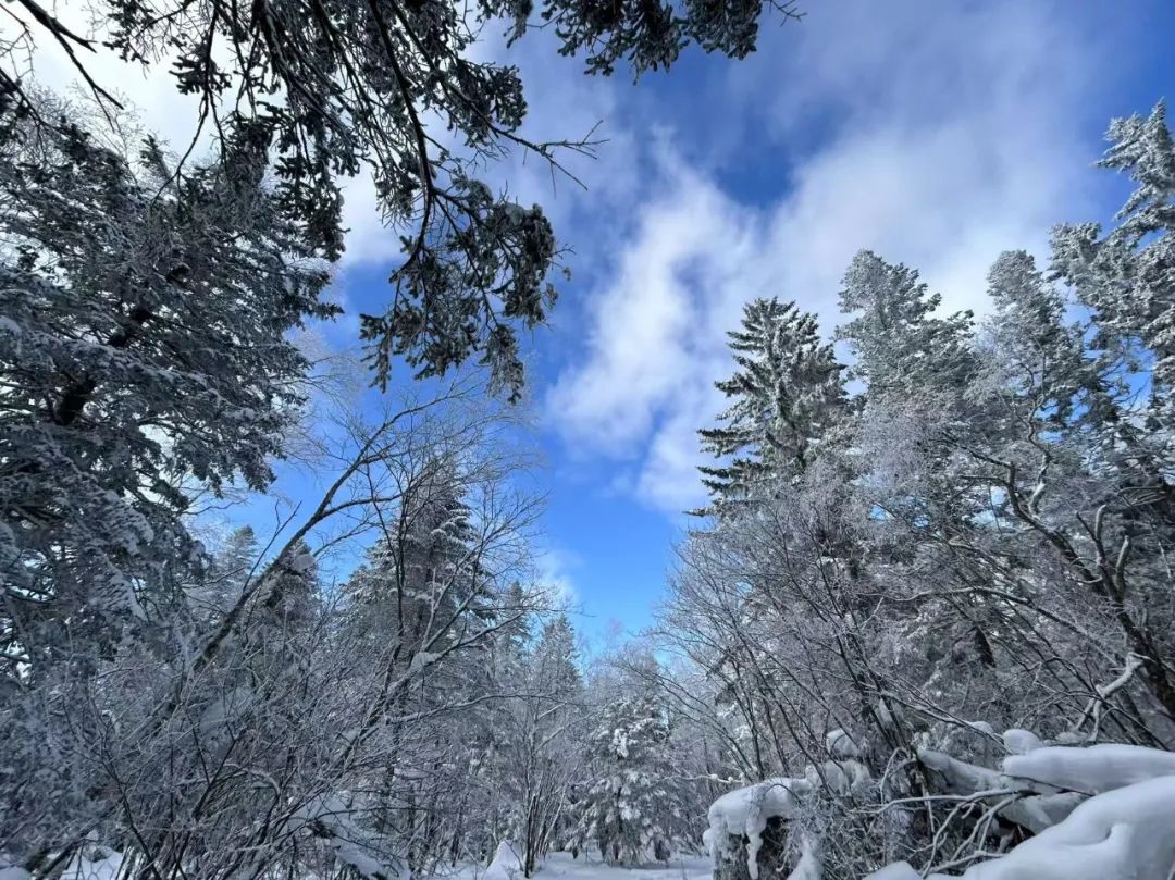 七成内房股退市潮来袭 建业地产困局待破  第1张