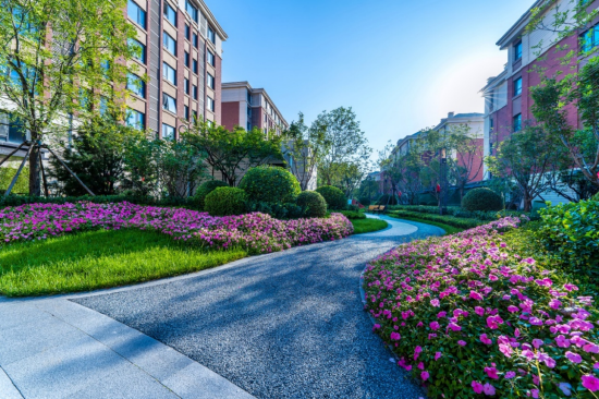 实探远洋椿萱茂：如何让老人有尊严地变老？  第1张