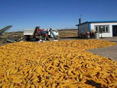 大商所什么条件能进价差策略是什么修改为在大商所怎样满足进价差策略的条件？这些条件有哪些实际影响？  第1张