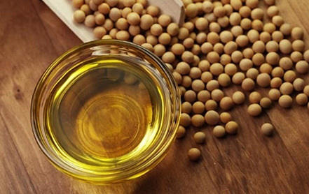 如何确定豆油期货产量?产量对市场有何影响? 第1张 如何确定豆油期货产量?产量对市场有何影响? 第1张