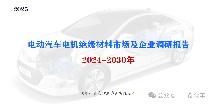 2024-2030年电动汽车电机绝缘材料市场及企业调研报告  第2张