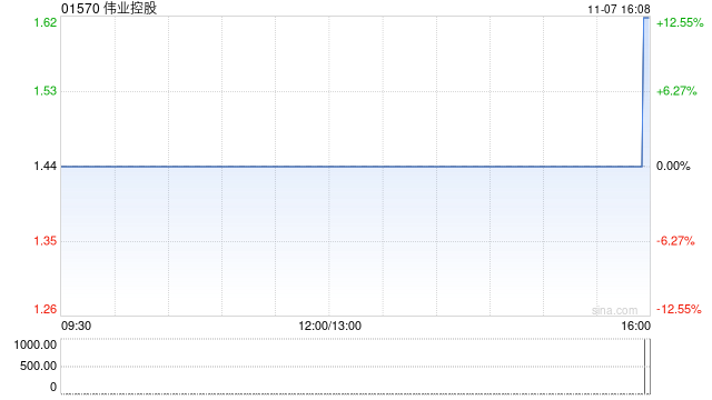 伟业控股建议更换核数师 第1张 伟业控股建议更换核数师 第1张