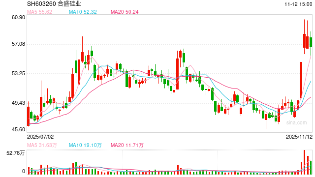合盛硅业转亏股东清仓式减持：固定资产在建工程有息负债均超300亿 直接融资109亿后拟再大规模募资  第1张
