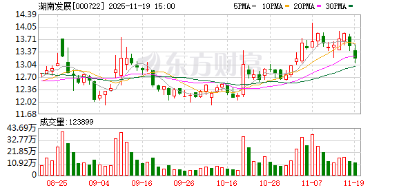 湖南发展：本次重组正在推进中  第1张