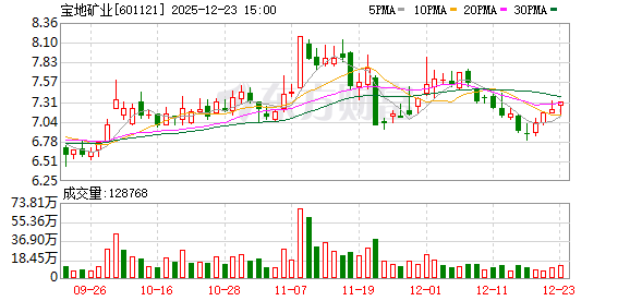 宝地矿业：公司对葱岭能源进行收购是基于深耕多年铁矿采选行业、对区域铁精粉市场的审慎判断做出的决策  第1张
