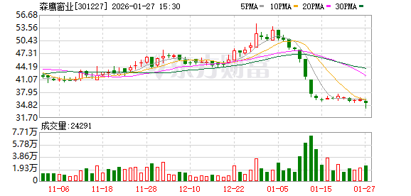 产能利用率低 森鹰窗业预计2025年净利润亏损 第1张 产能利用率低 森鹰窗业预计2025年净利润亏损 第1张